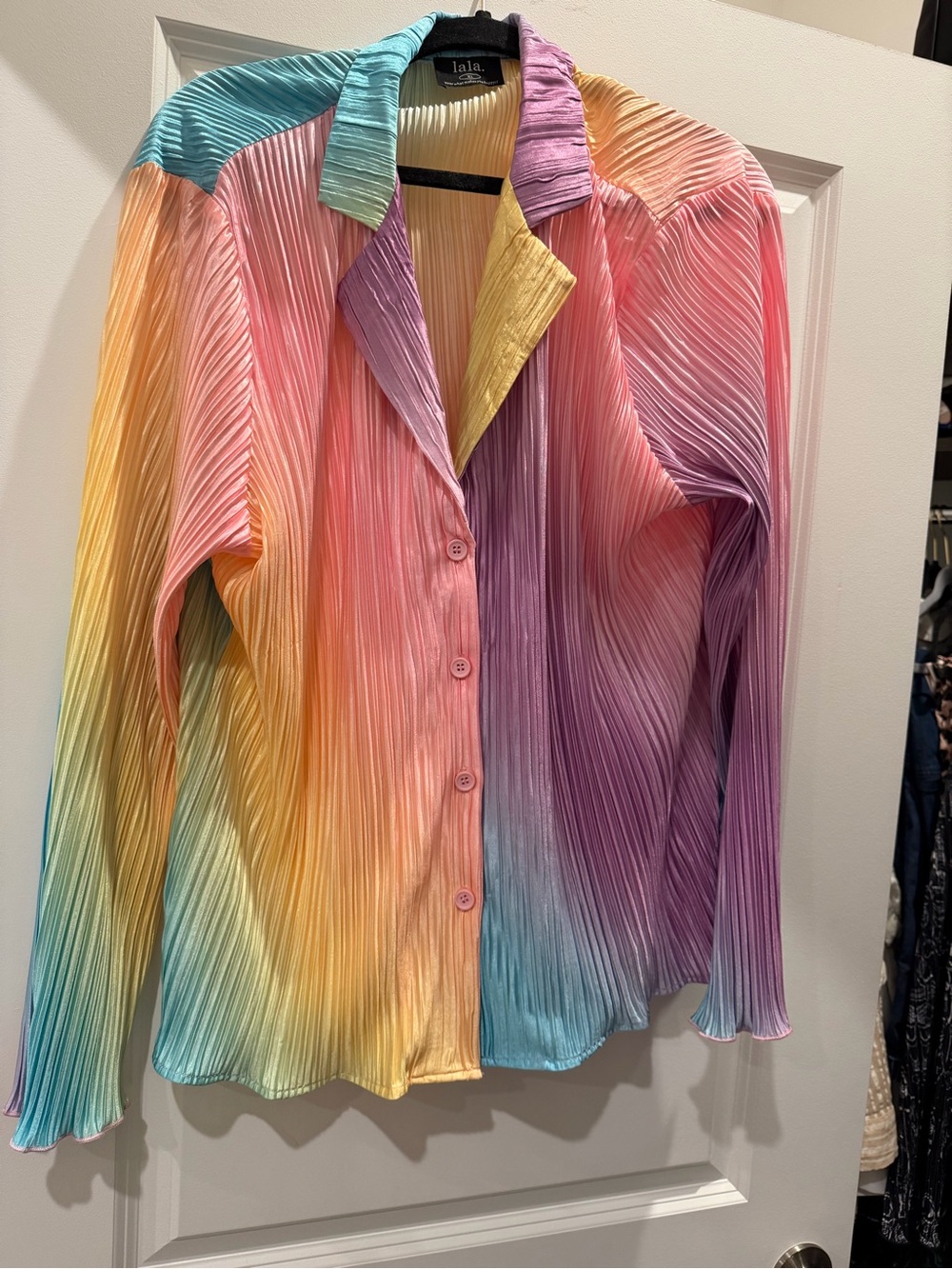 Dressed in LALA Pastel Rainbow Pleated Button-Front Blouse